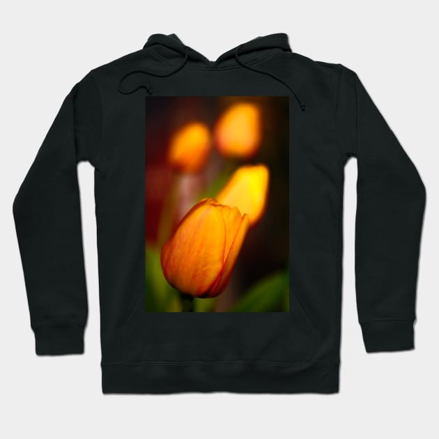 Glowing Tulip Hoodie by somadjinn